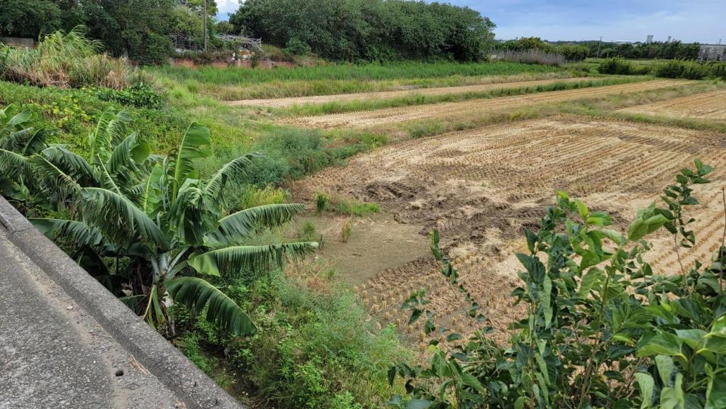 【向陽團隊】新屋永安國小正中山西路農地