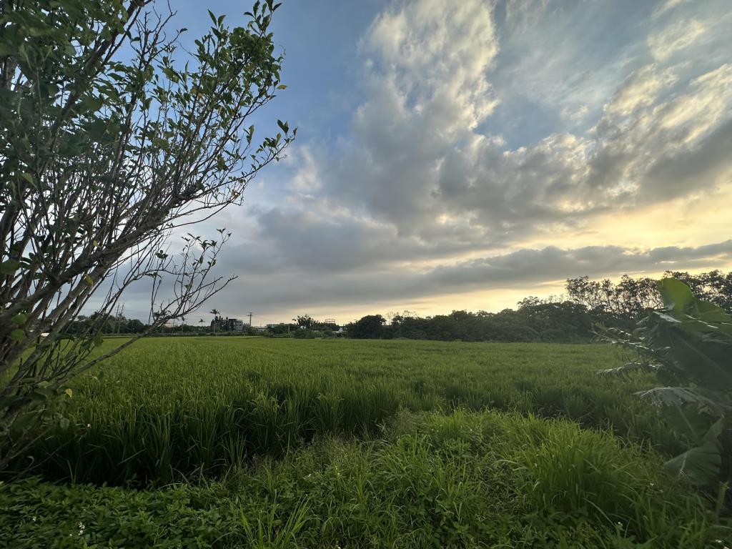 【向陽團隊】央大美農地