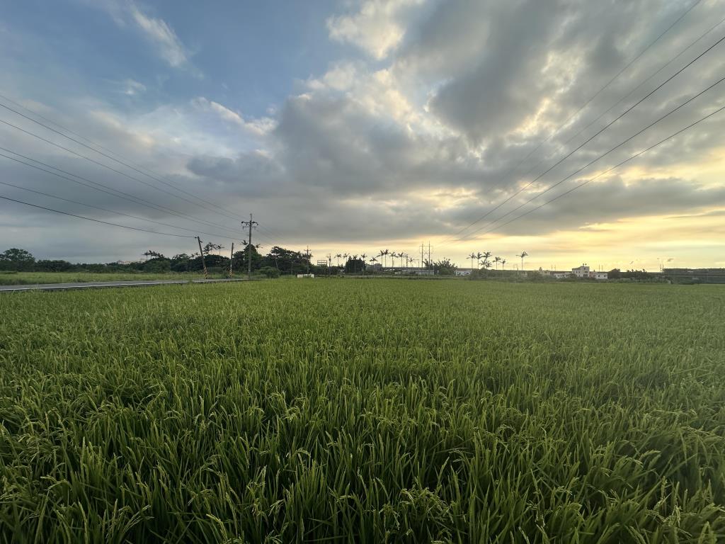 【向陽團隊】央大美農地