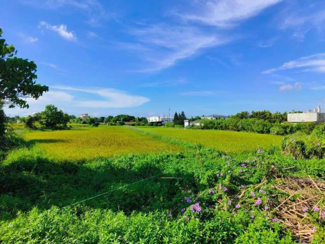 【向陽團隊】新屋區富九段便宜農地