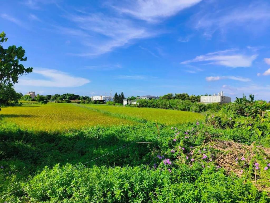 【向陽團隊】新屋區富九段便宜農地