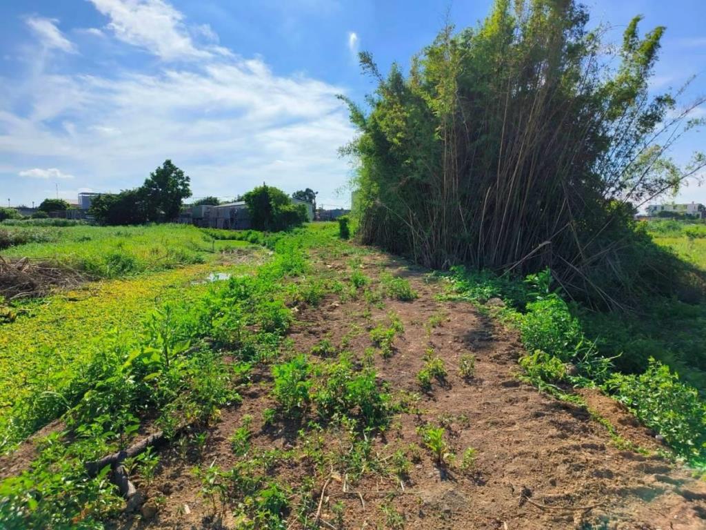 【向陽團隊】新屋區富九段便宜農地