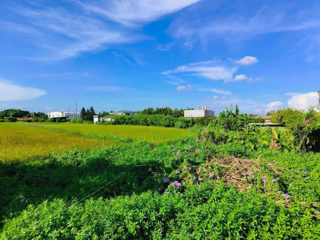 【向陽團隊】新屋區富九段便宜農地