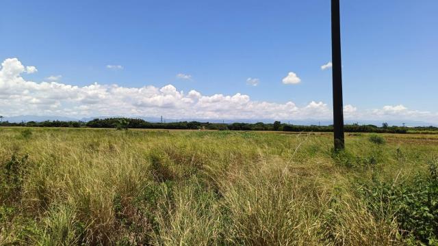 【向陽團隊】新屋大坡國小建地