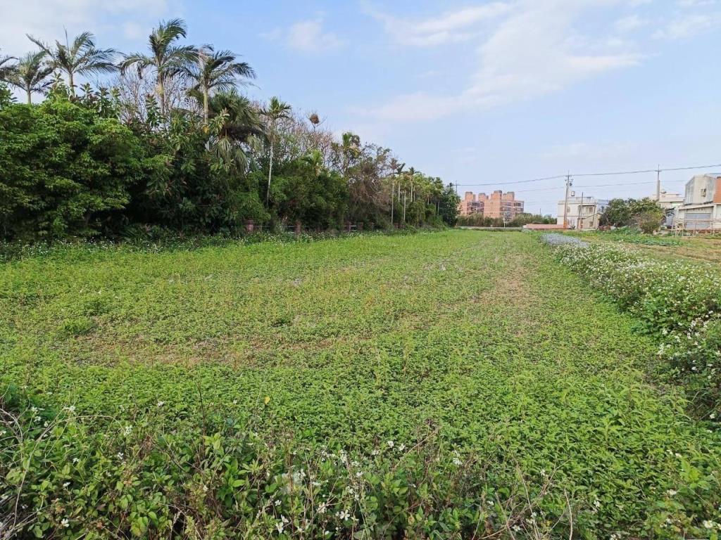 【向陽團隊】觀音蓮花園區農地