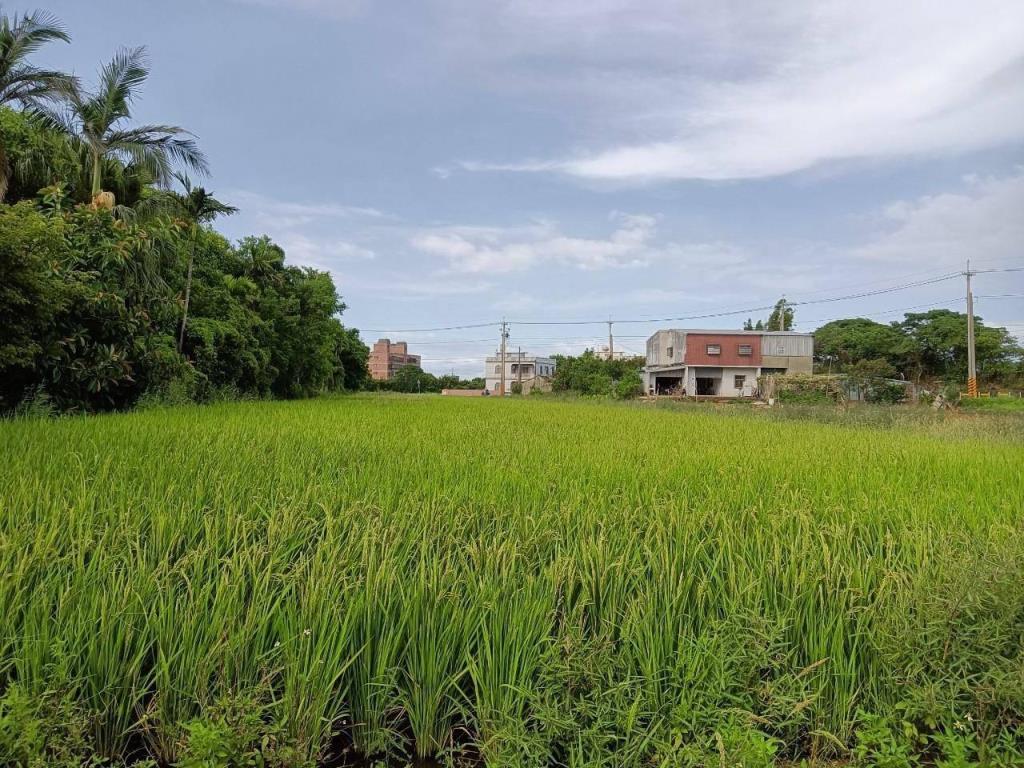 【向陽團隊】觀音蓮花園區農地