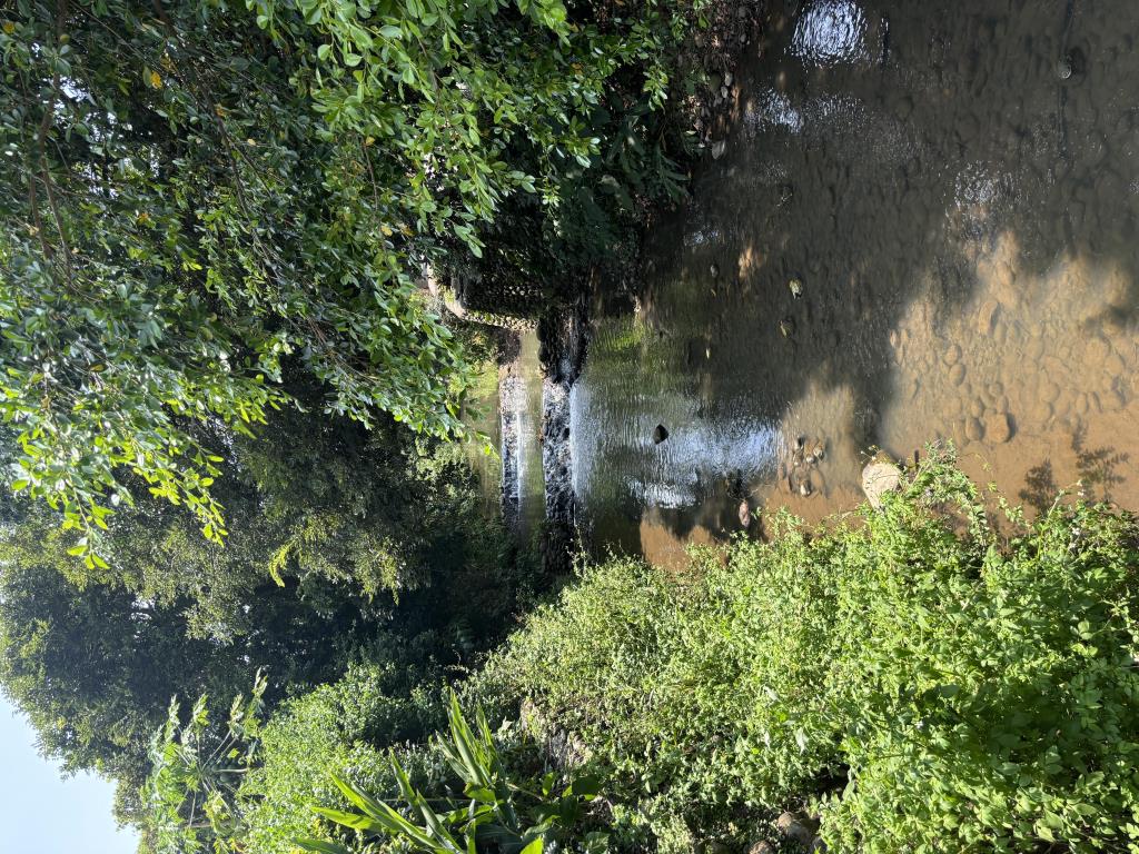 【向陽團隊】大園客運園區旁美農地