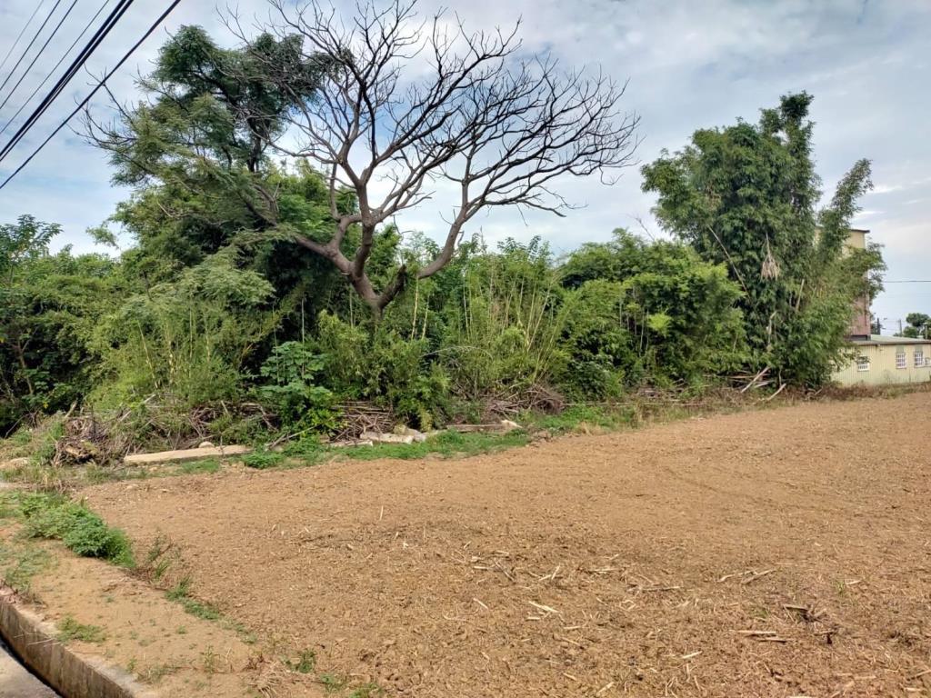 【向陽】楊梅和平森林公園雙臨路方正甲建