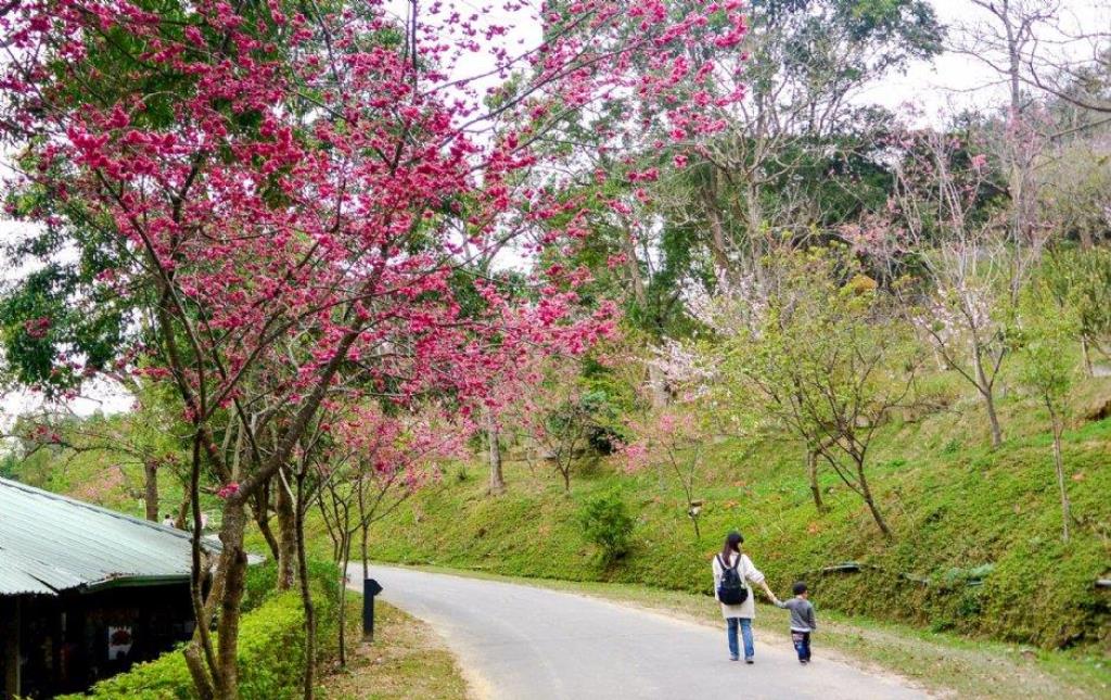 【向陽團隊】東勢千坪建地