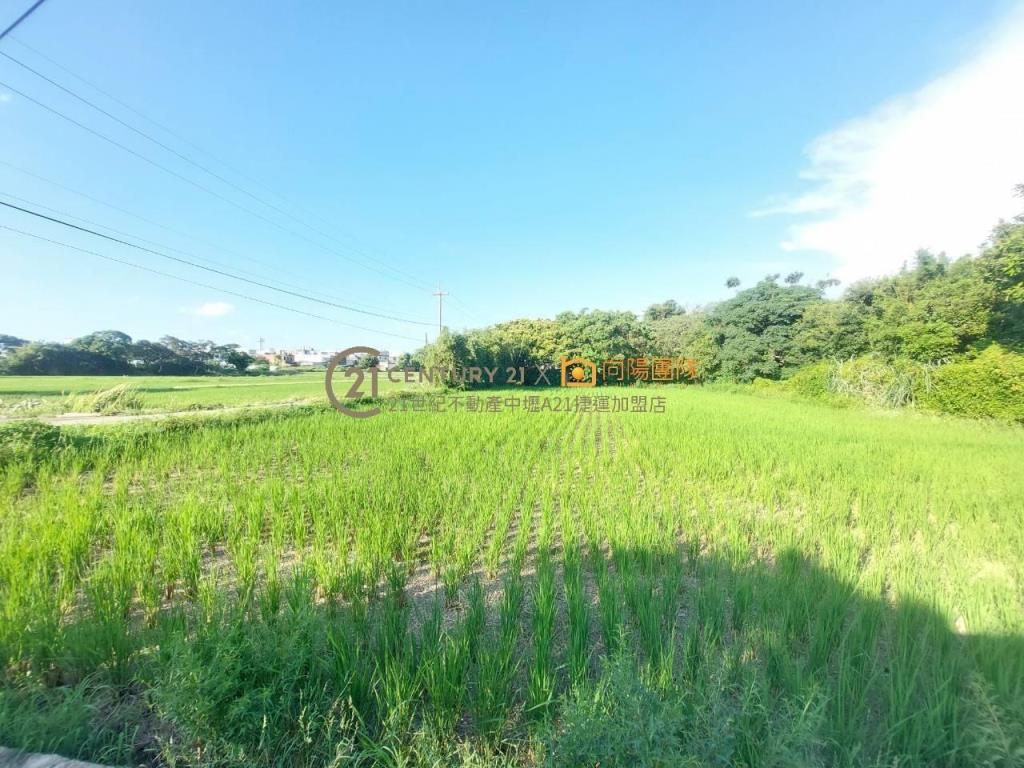 【向陽團隊】大坡國小甲建