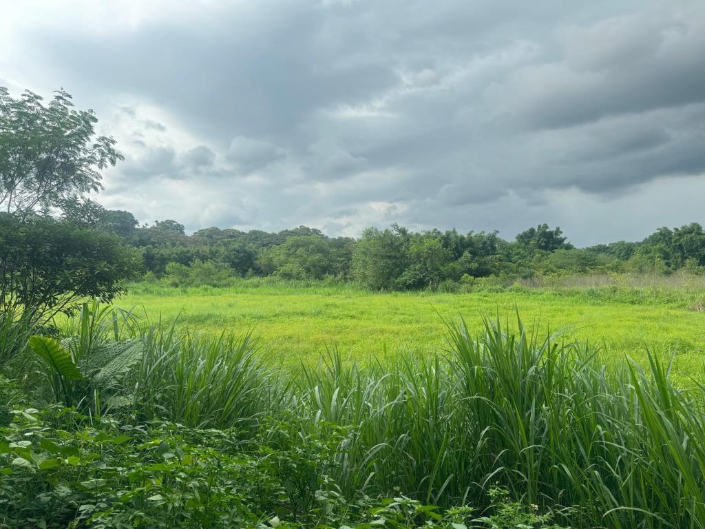 【向陽團隊】關西台三線旁建+農