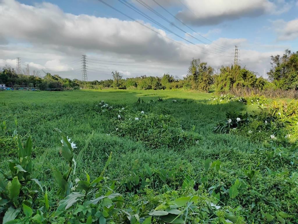 【向陽團隊】石門大圳水岸綠廊超美農地