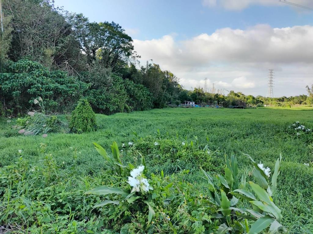 【向陽團隊】石門大圳水岸綠廊超美農地