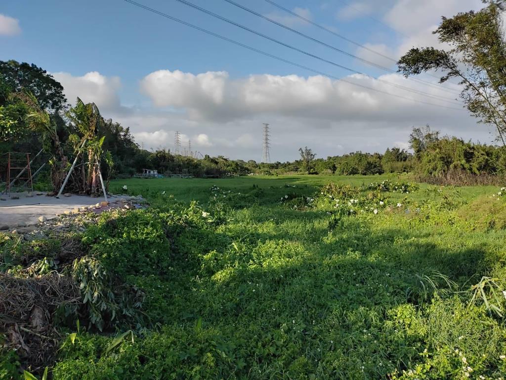 【向陽團隊】石門大圳水岸綠廊超美農地