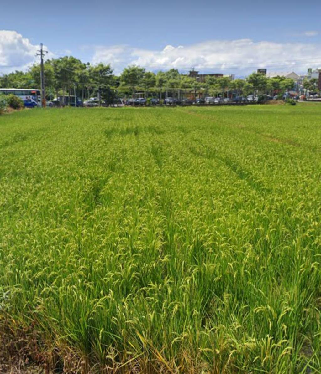 【向陽團隊】正中豐路平鎮高中農地