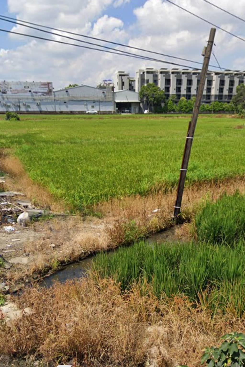 【向陽團隊】正中豐路平鎮高中農地