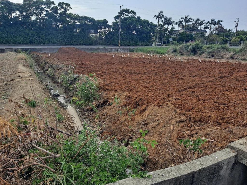 【向陽團隊】觀音廣青路方正雙面臨路農地