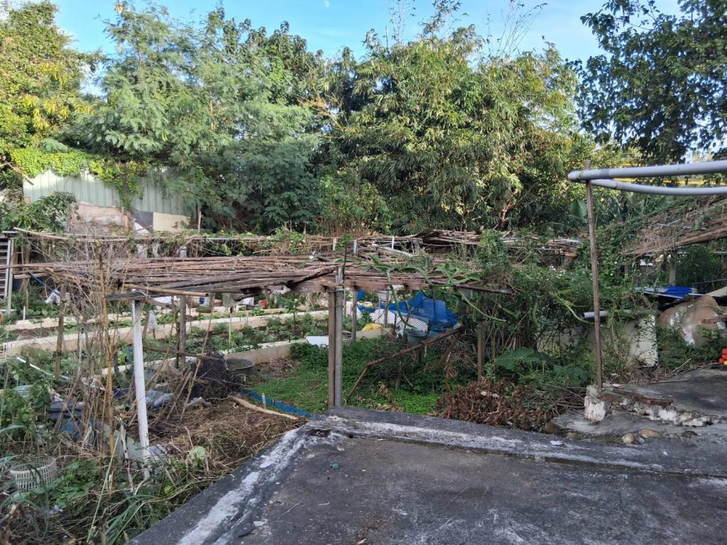 【向陽團隊】平鎮廣仁段持分建地