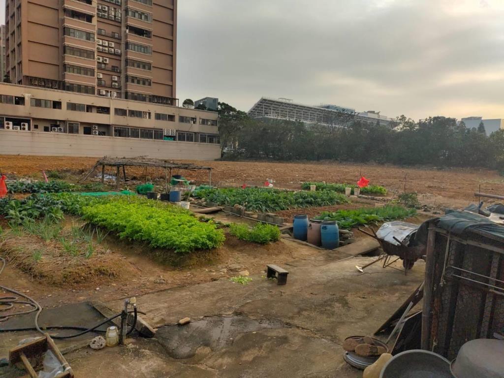 青埔A19青塘園捷運精華商業區建地