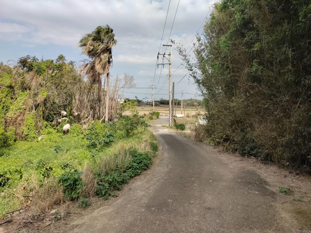 【向陽團隊】專任富岡車站運動公園都內農