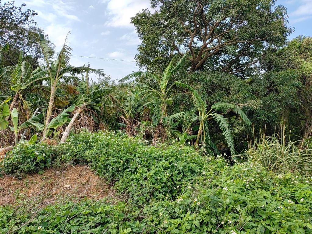 【向陽團隊】專任富岡車站運動公園都內農