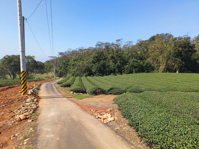 【向陽團隊】龍潭三和國小農林茶園