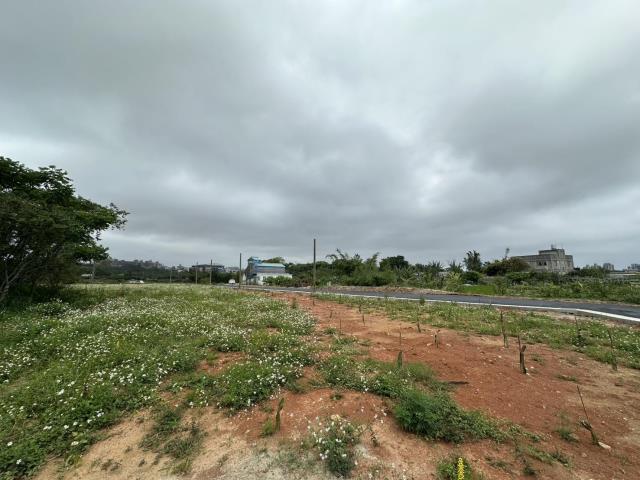 【向陽】平鎮南勢重劃區都計內多筆美農地A