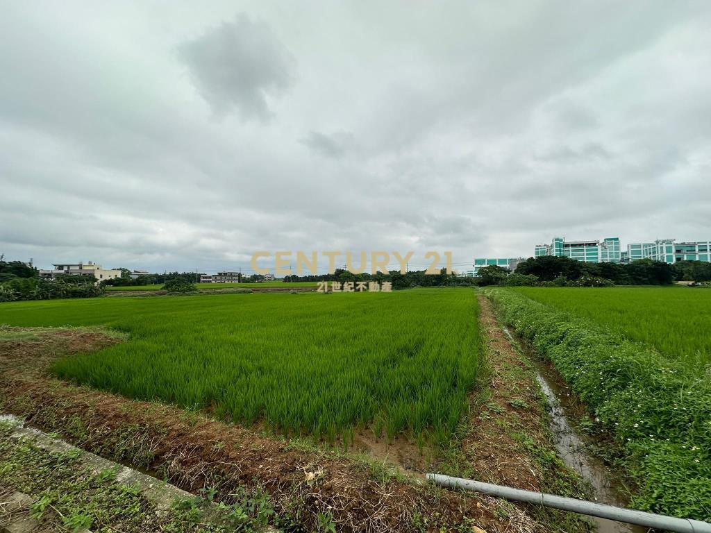 新屋景碩石磊廠臨路漂亮方正農地(一)