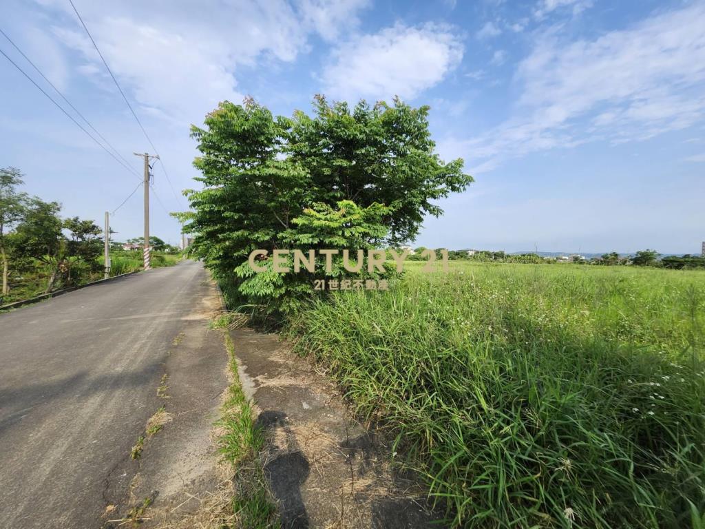 富岡方正大坪數農地