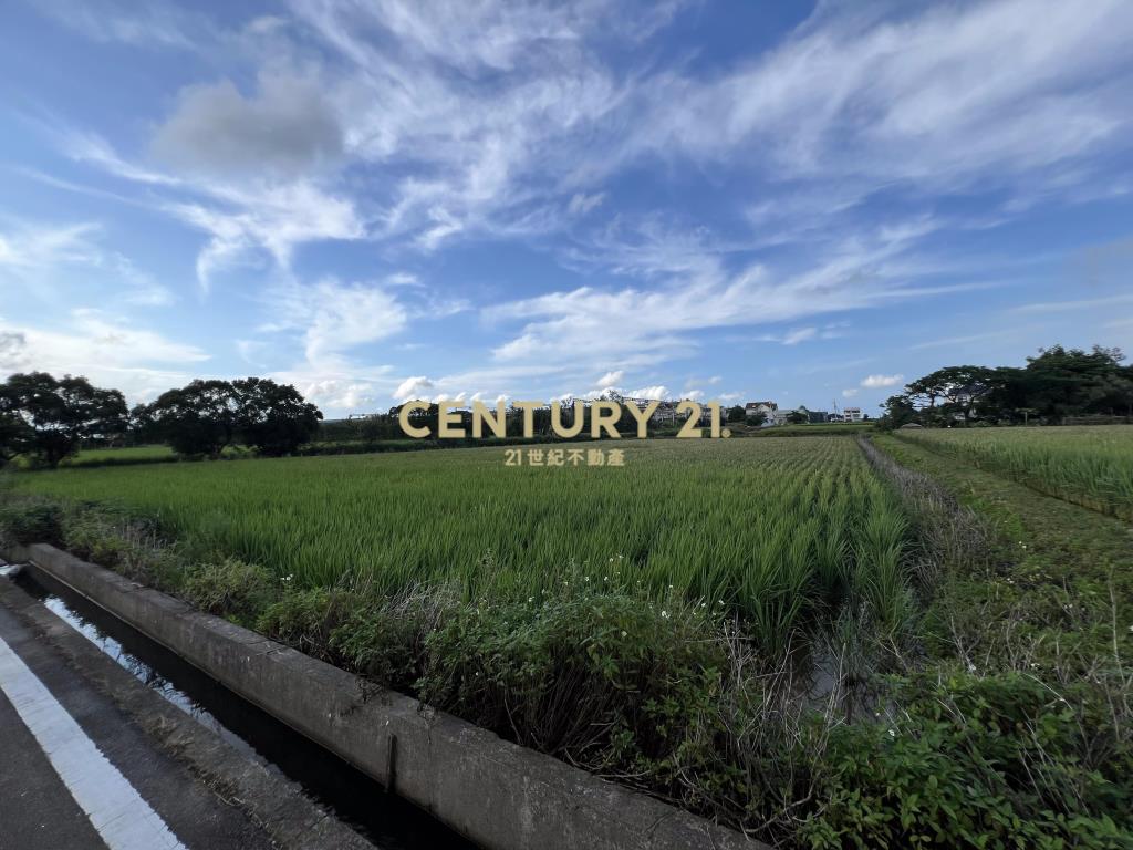 新坡國小農地