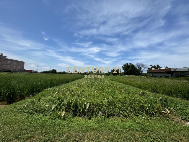 永安小坪數美農地