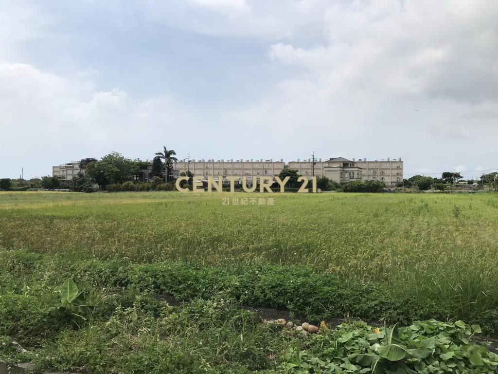 正臨楊湖路方正農地