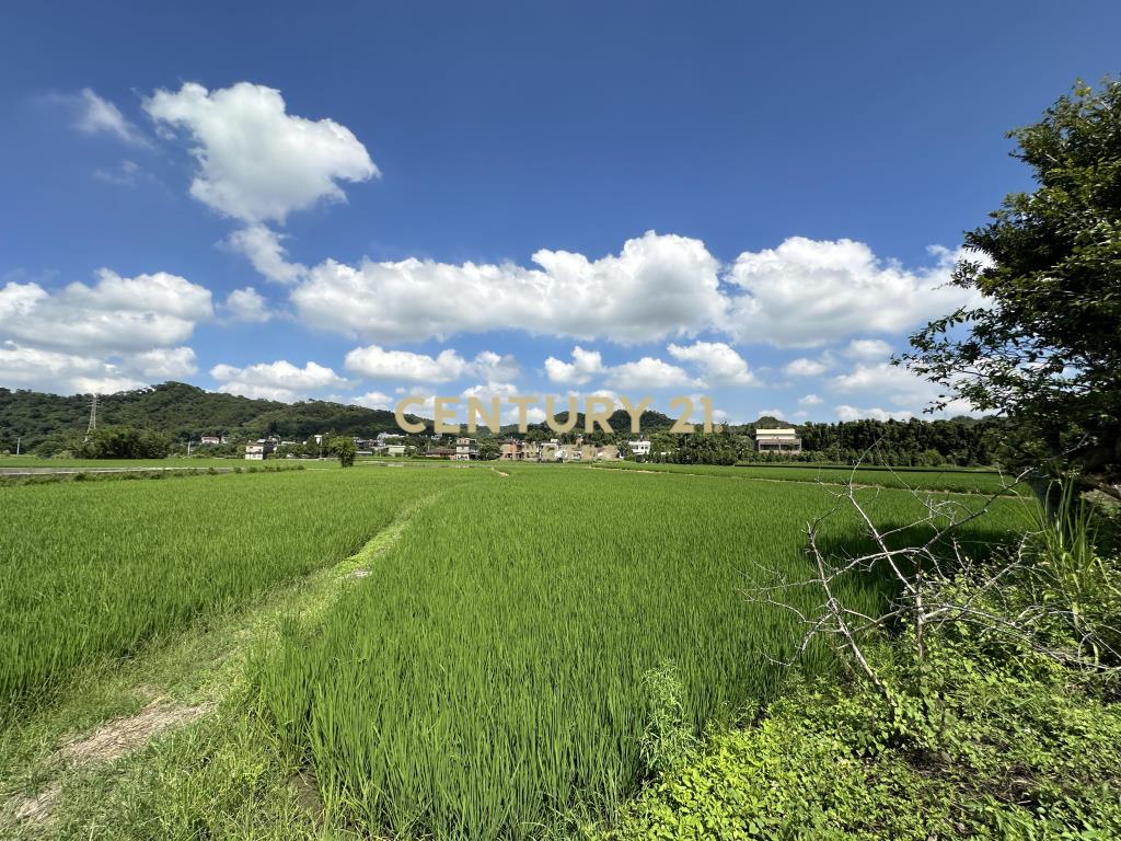 新埔照門河堤旁漂亮農地多筆可供選擇