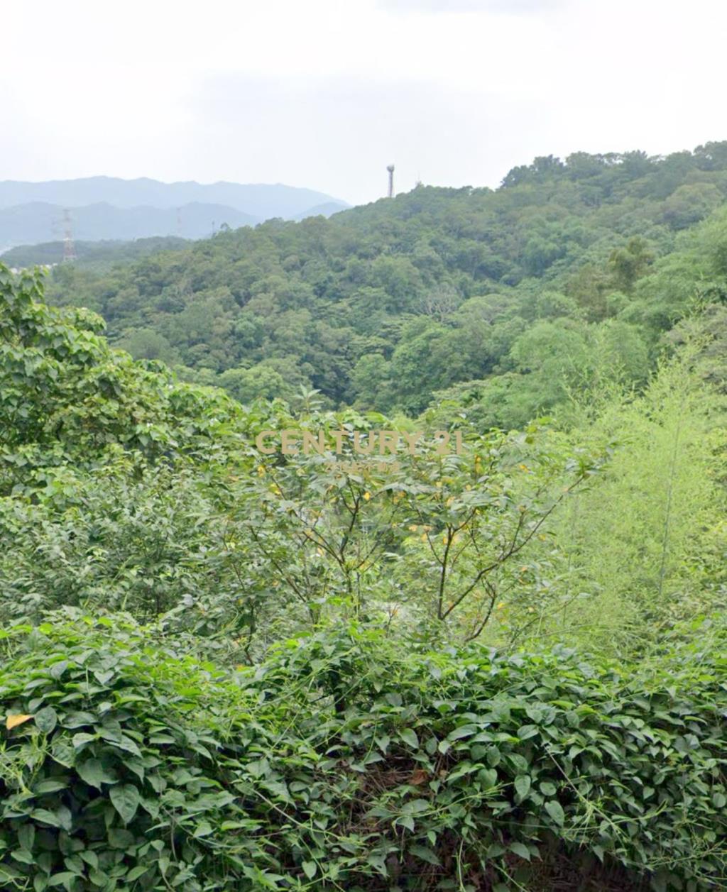 龍潭景觀農加建(買地送屋)