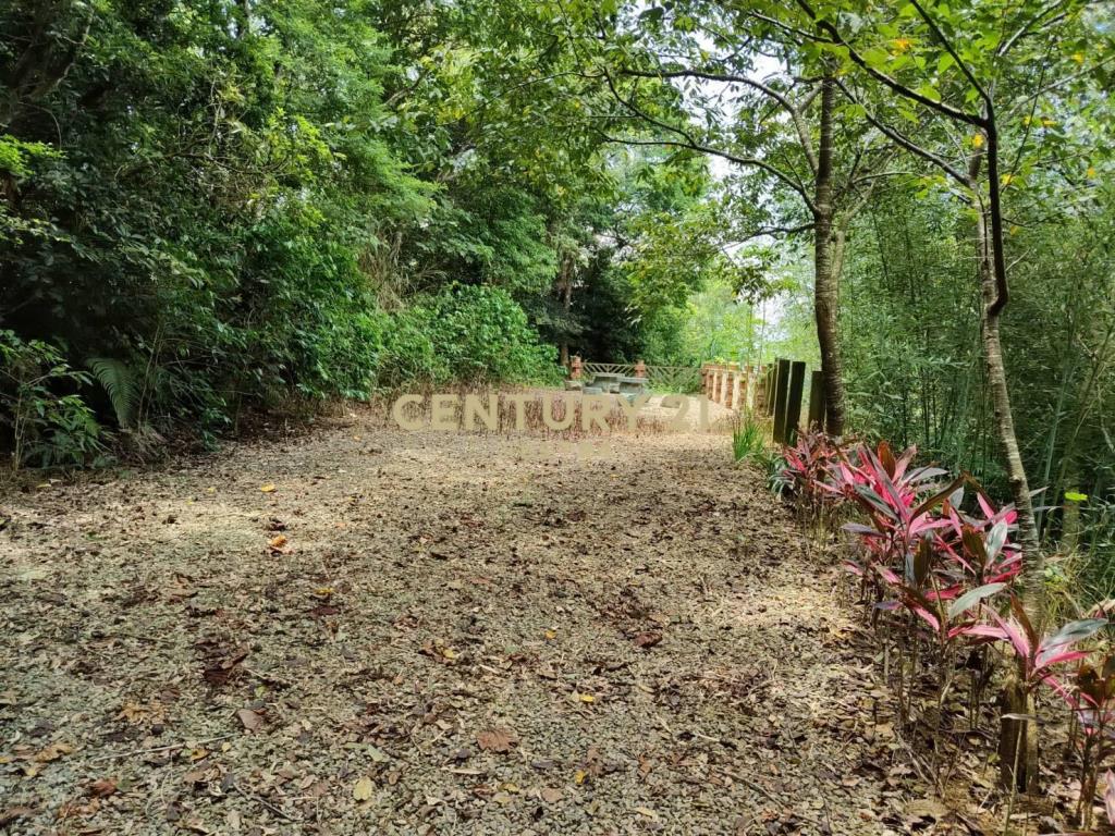 龍潭景觀農加建(買地送屋)