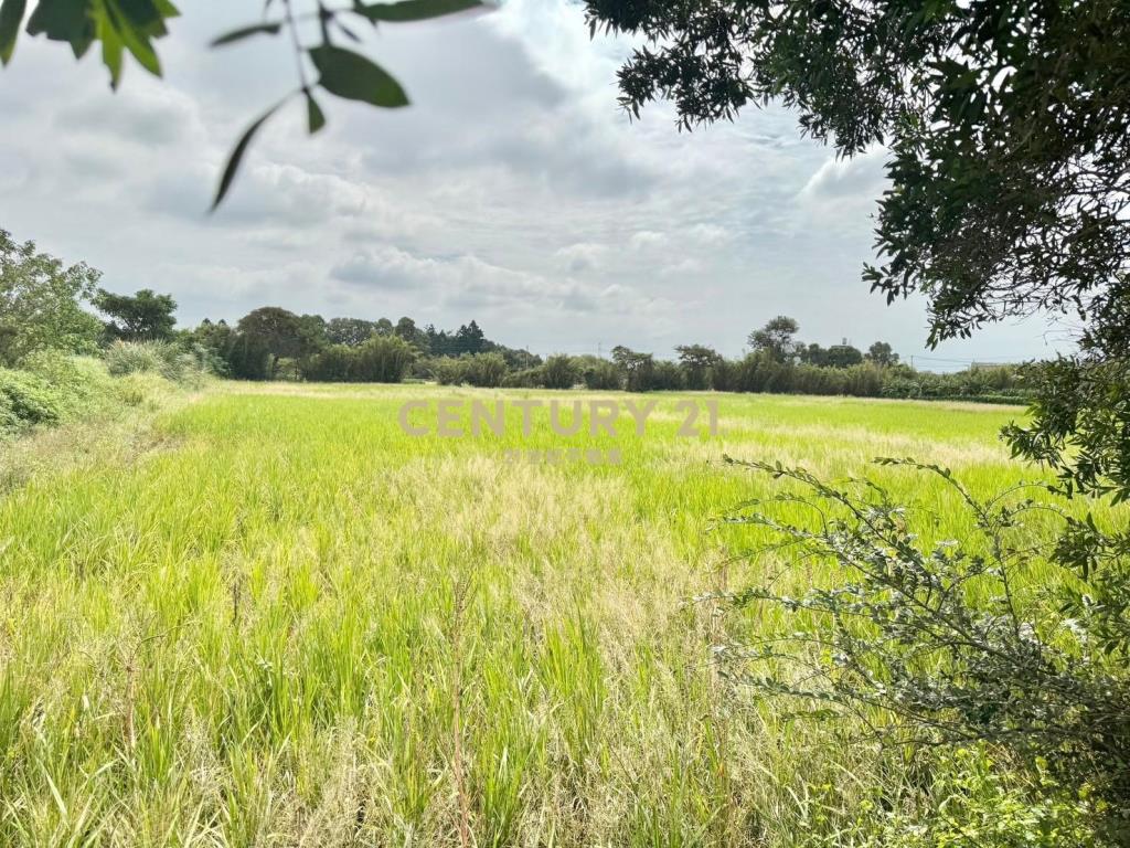 東明國小美農地