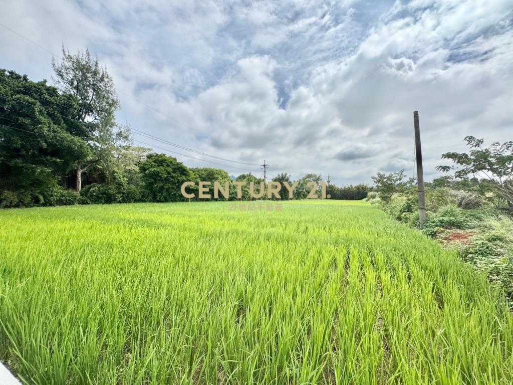 東明國小美農地