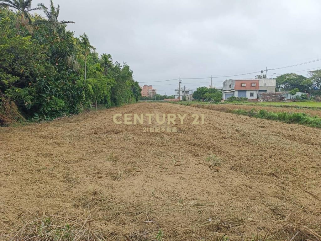 觀音新坡蓮花園區437坪農地