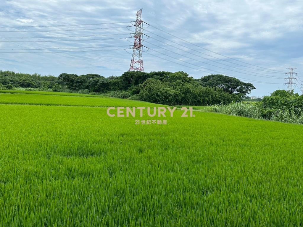 觀音大潭國小旁茄苳坑農地3161坪