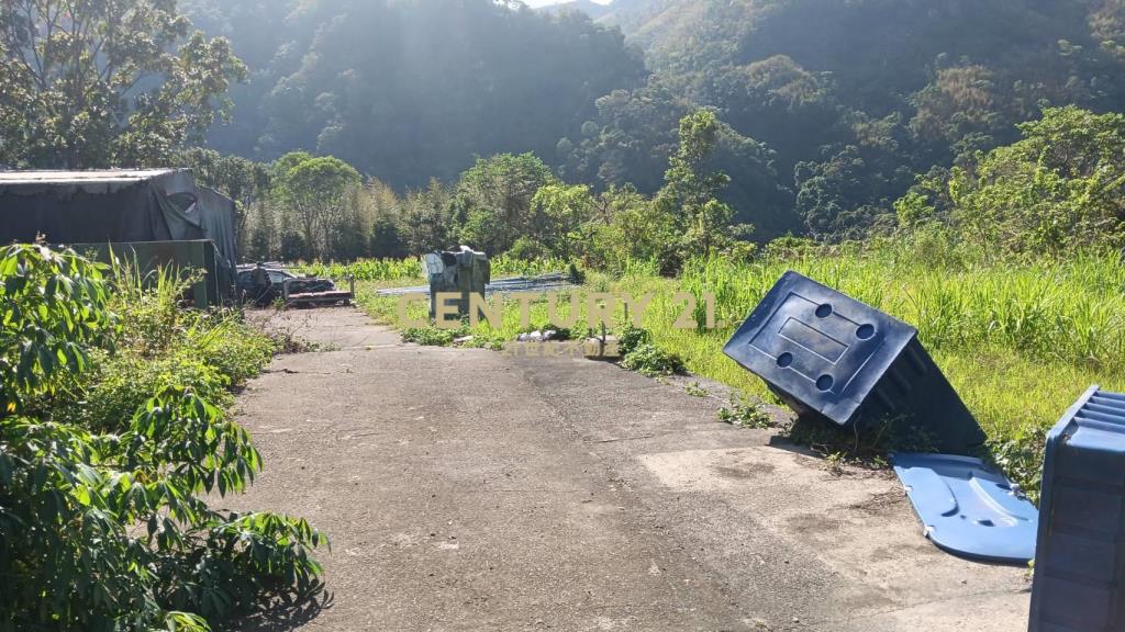 專任復興區角坂山公園原保地一般農