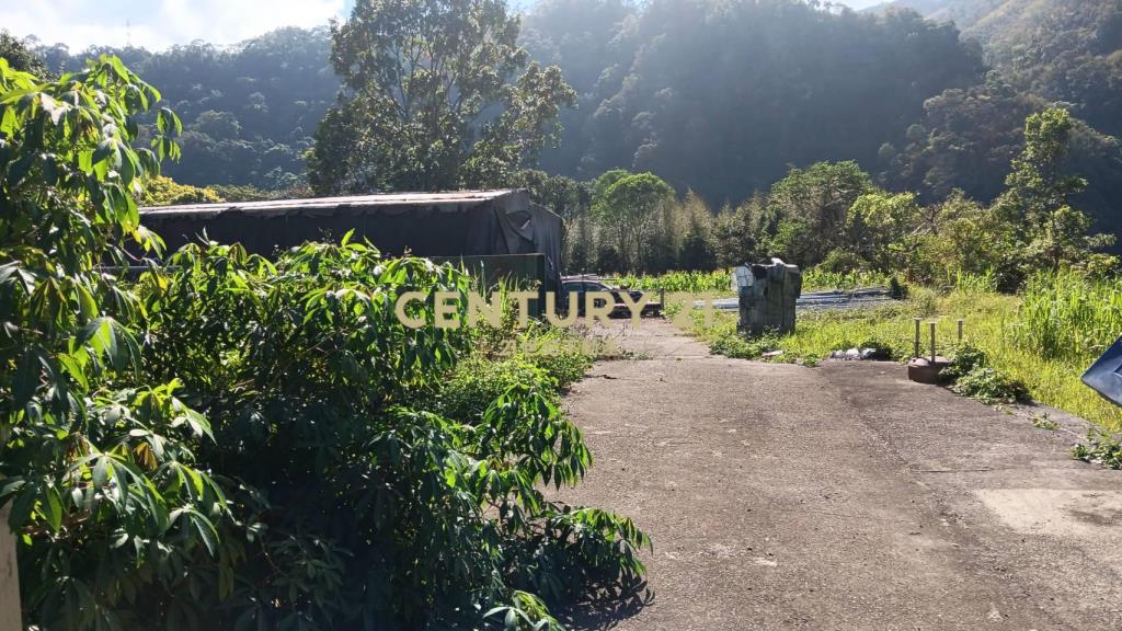 專任復興區角坂山公園原保地一般農