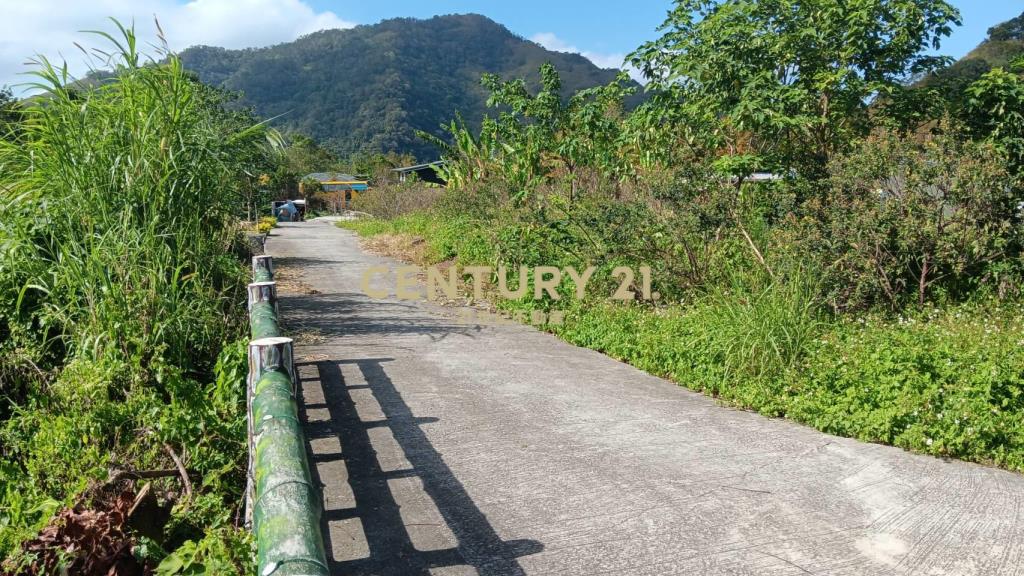 專任復興區角坂山公園原保地一般農