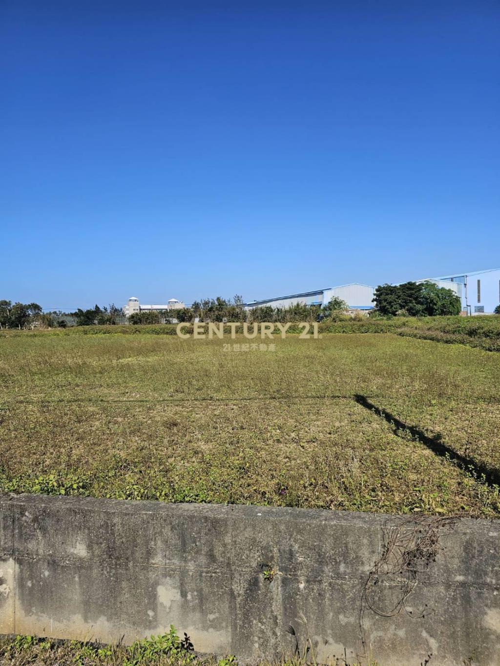 大坡國中快樂種植美農地