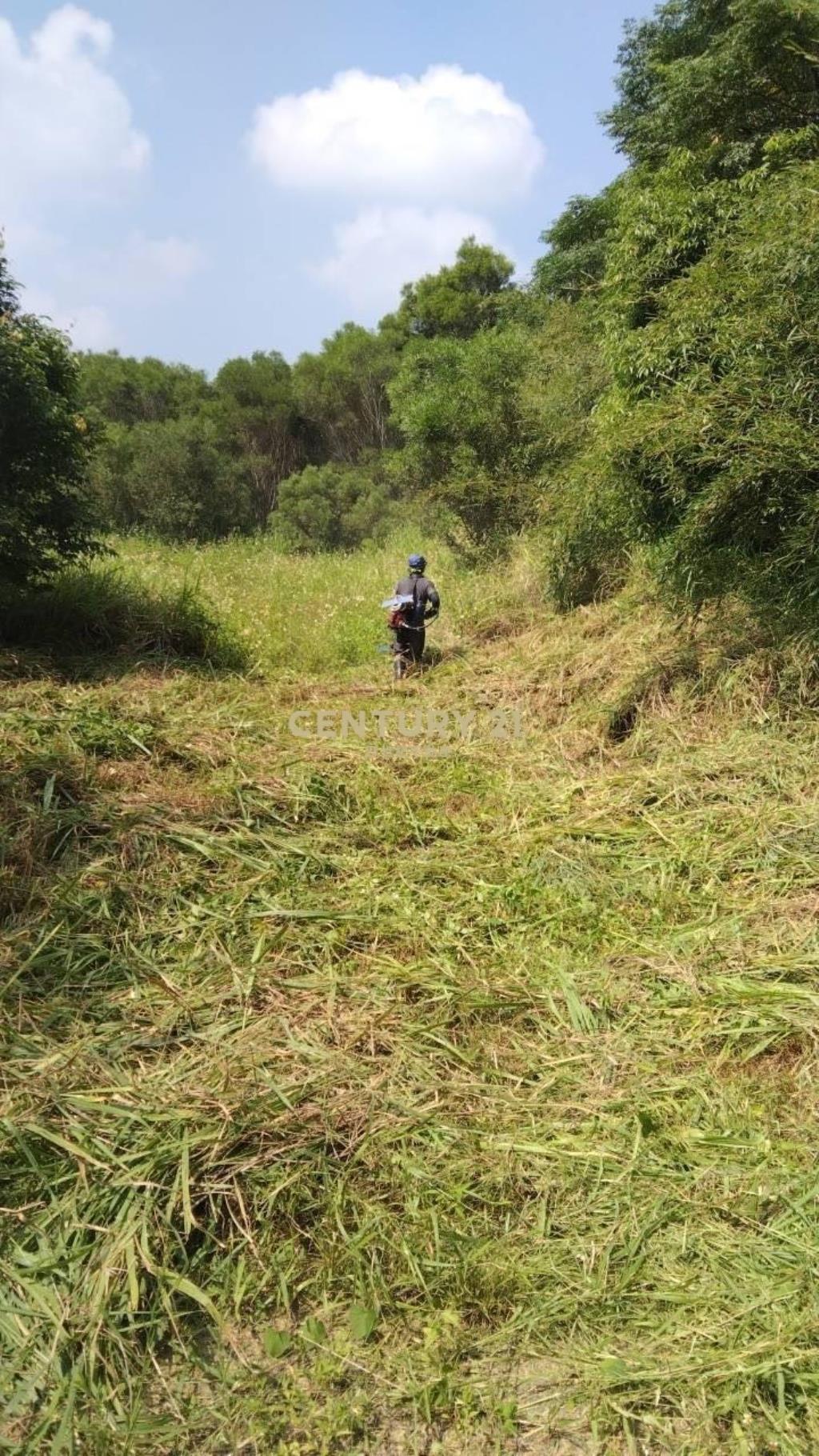 通霄土城超值休閒地