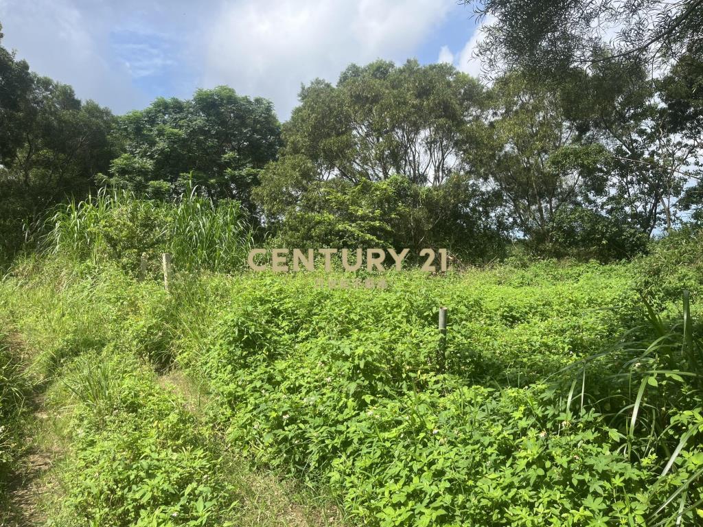 楊梅富岡小農地