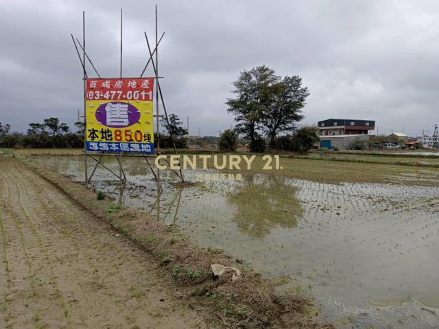 新屋區永安國小農地