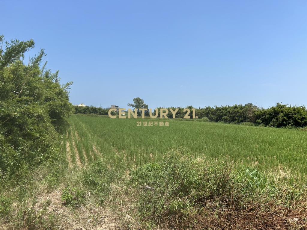 新屋笨子港段方正農地