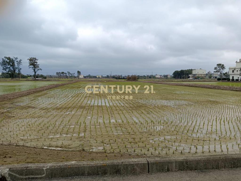 新屋區崁頭厝段3筆農地