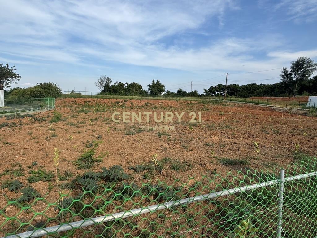 新屋3面路美農地