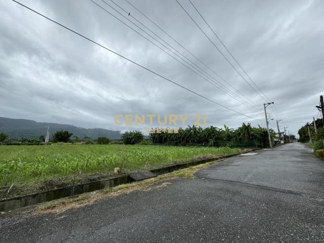 (4280)豐田文化街美農地(二)